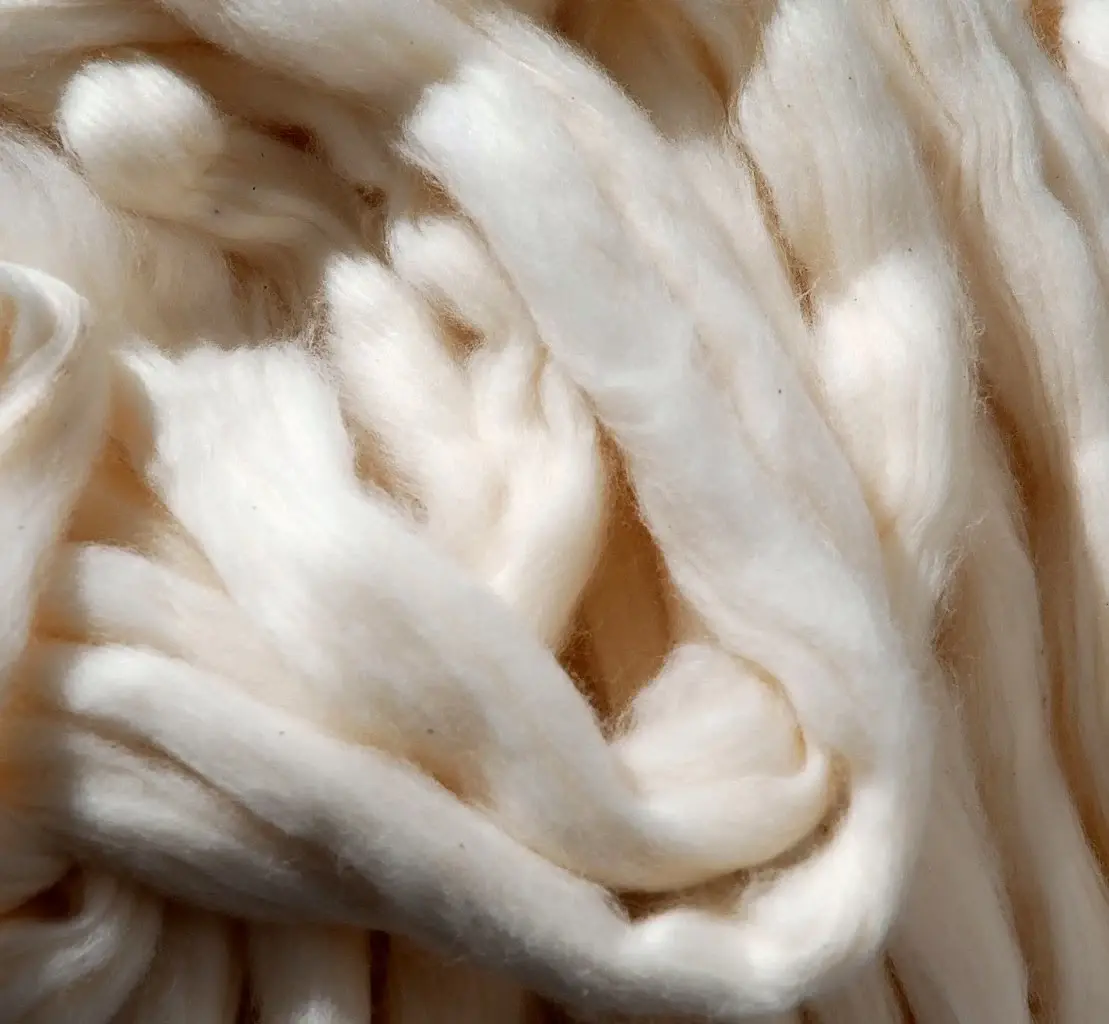 Cotton’ The Wonderful: A Natural Fibre for Everyday Life